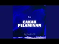 Download Lagu CAKAK PELAMINAN