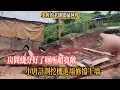 Download Lagu 【小唐的老撾媳婦阿珍】小唐工地大進展！房間線分好了，廁所超寬敞。後山塌方，小唐計劃挖機進場修擋土牆
