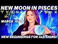 New Moon in Pisces March 2026 Intuitive Reset Surprising Opportunities All 12 Signs