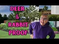 Landscape Design Ideas-Deer Rabbit Resistant Before After