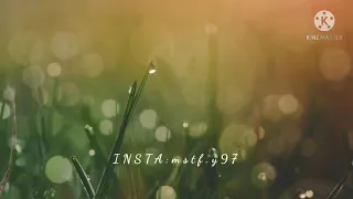 ورقة بطيئ اغنية ورقه بالبطيئ سيف عامر بطيئ 