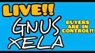 GNUS XELA Stocks On the Move To Higher Ground
