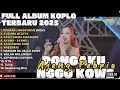 Download Lagu DONGAKU NGGO KOWE - AJENG FEBRIA FULL ALBUM TERBARU DANGDUT KOPLO TERBARU 2025