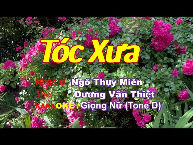 Karaoke: Tóc Xưa / Nhạc: Ngô Thụy Miên, Thơ: Dương Văn Thiệt - Giọng Nữ (Tone D - cho Bạn)