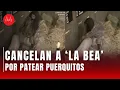 Lagu ¿Maltrato animal en La Granja VIP? Señalan a participantes de PATEAR a un cerdito