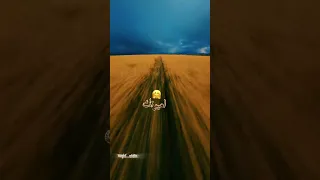 مهره وماشفت مثلك اصيله دندنها