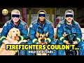 Lagu Blindfolded Firefighters Let Shelter Dogs Choose Their Owners And THIS Happened 💔