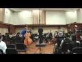 Download Lagu John Mietus | J.B. Vanhal - Double Bass Concerto in C major