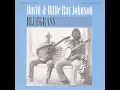 Billy in the Lowground - David Johnson & Billie Ray Johnson