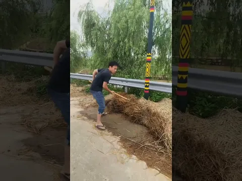 道路脇の藁除去作業 | 도로변 볏짚 정리 작업