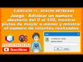 Ejercicio 13 Java - Apache NetBeans
