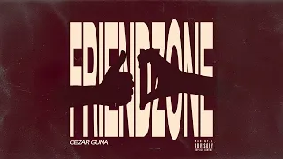 Cezar Guna - Friendzone - Descarcă MP3