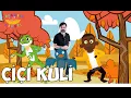 Download Lagu Çiçi Kuli Afrika Çocuk Şarkısı