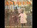 Andrew Bird - Lazy Projector