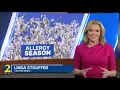 Dr Sara B Bluestein Featured on WSB-TV Discussing Early Spring Pollen Surge