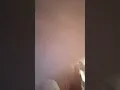 Ariana Greenblatt and Bryce Gheisar Tik tok - First LOVE Sabrina Carpenter
