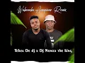 Download Lagu tebza de dj ft DJ Nomza The King Waka Waka Amapiano remix Shakira ft fleshy ground hit song
