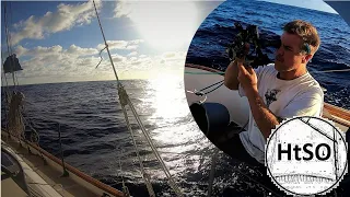 Self-steering windvanes, sextant navigation, southward progress | Ep. 197
