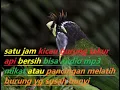 Kicau burung takur api / Fire-tufted Barbet durasi satu jam bisa buat audio mp3 mikat #takurapi