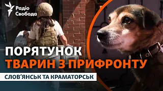 Волонтери вивозять тварин з прифронтових міст: евакуація у Слов’янську та Краматорську