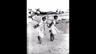 Eritrean Tigryina Music Tekeleniel Gebru Wedi Full Album 