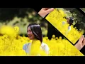 いちご白書をもう一度/バン・バン