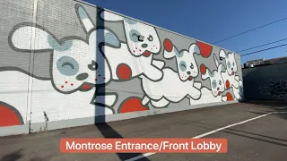 Wag n World - 1616 Montrose Blvd Virtual Tour Walk Through
