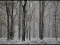 Winter Trees by The Staves piano cover