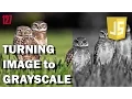 JAVASCRIPT Grayscale filter script