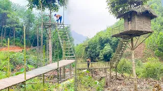Timelapse Video Start To Finish Aloen Build A Cabin On Tall Tree BUILD BAMBOO HOUSE On Tree 