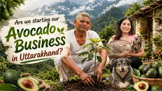 Pahado mein Avocado 🥑 Tree Laga Diya 😍 Ab Hum Malamaal Ho Jayenge 💰| Anishka Khantwaal |