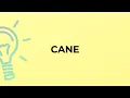 What is the meaning of the word CANE