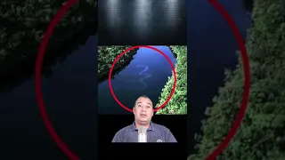 اكبر واخطر غابة في العالم ممنوع دخولها علي البشر مش هتصدق ايه اللي اكتشفه العلماء فيها 