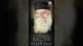 موسيقي فيلم نسر البرية دندنها
