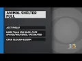 ACCT Philly shelters beyond capacities need help