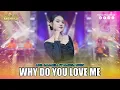 Lagu ADEL SALSABELA - WHY DO YOU LOVE ME I Mahesa Music