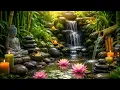 Zen Garden - Meditation, Yoga & Entspannung