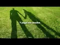Cassia – lemon gelato (Sub. Español)