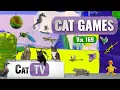 Download Lagu CAT Games | Ultieme Cat TV-compilatie Vol 169 | 8 UUR 🐝🐞🦋🦎🦜🐜🐭🧵