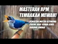 Download Lagu MASTERAN RAMBATAN PARUH MERAH GACOR FULL ISIAN NGEBREN SUARA JERNIH JEDA SPEED RAPAT NEMBAK PANJANG