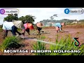 Download Lagu DJ MONTAGE REBORN WOLFGANG FULL BASS HOREG