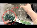 Grab string lights and a Dollar Store vase this new holiday idea is MAGICAL