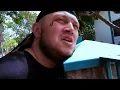 Грибы - Копы