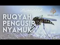 Download Lagu Ayat Pengusir Nyamuk Di Dalam Rumah Agar Nyamuk Pergi | Pengusir Nyamuk Paling Ampuh