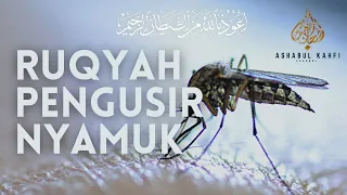 ayat pengusir nyamuk di dalam rumah agar nyamuk pergi pengusir nyamuk paling ampuh