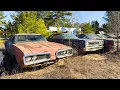 MASSIVE Southern SECRET Junkyard Full of Classic Cars