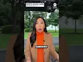 NBC Reporter Julie Tsirkin s What Is That Meme Explained