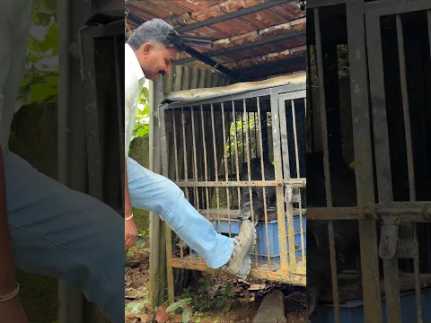 കിട്ടുമോ ഗയ്‌സ്..