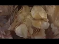 SE GROCERS bbq chips