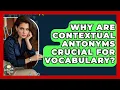 Why Are Contextual Antonyms Crucial For Vocabulary - Lexicon Lounge